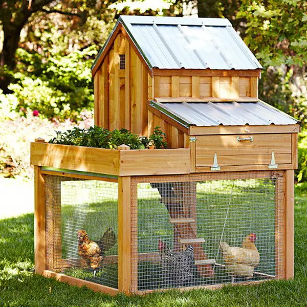 Chicken Coop Ideas - Designs And Layouts For Your Backyard ...