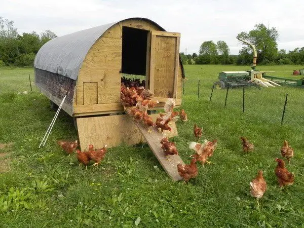 chicken coop house_04