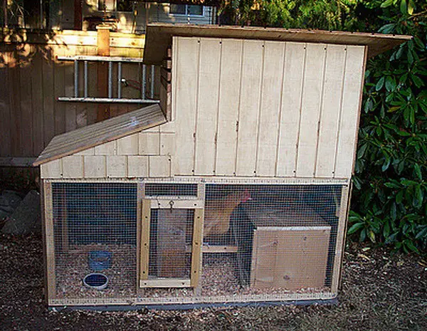 chicken coop house_37
