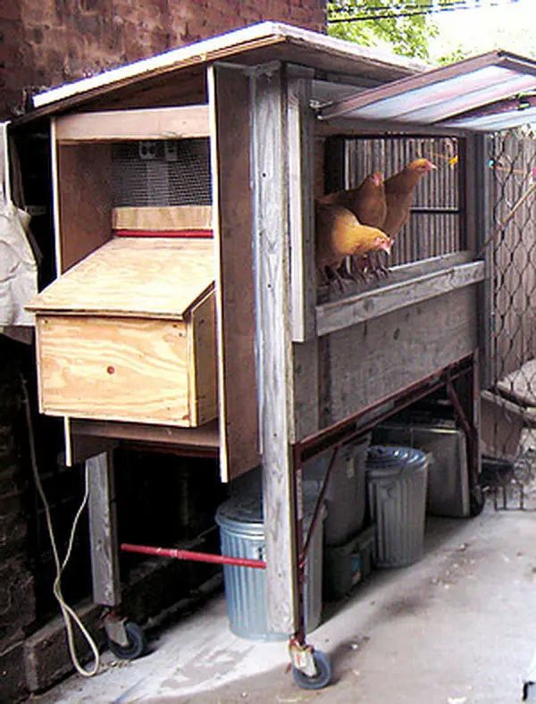 chicken coop house_41