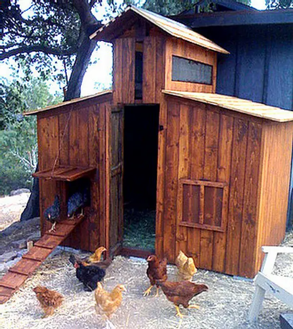 Chicken Coop Ideas - Designs And Layouts For Your Backyard ...
