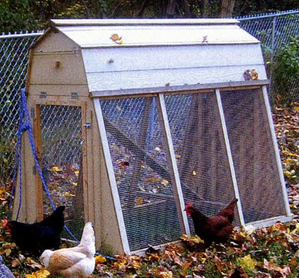 chicken coop house_53