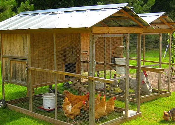 chicken coop house_56