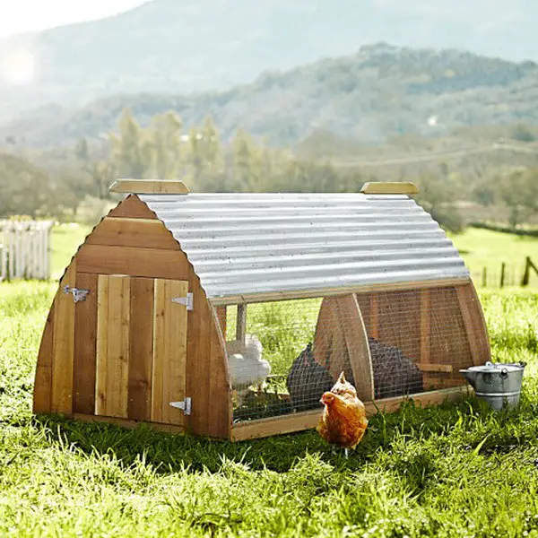 chicken coop house_63