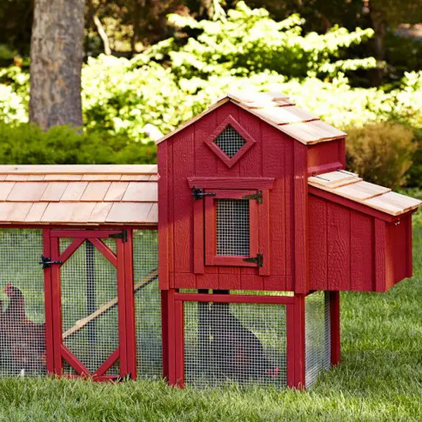 chicken coop house_66