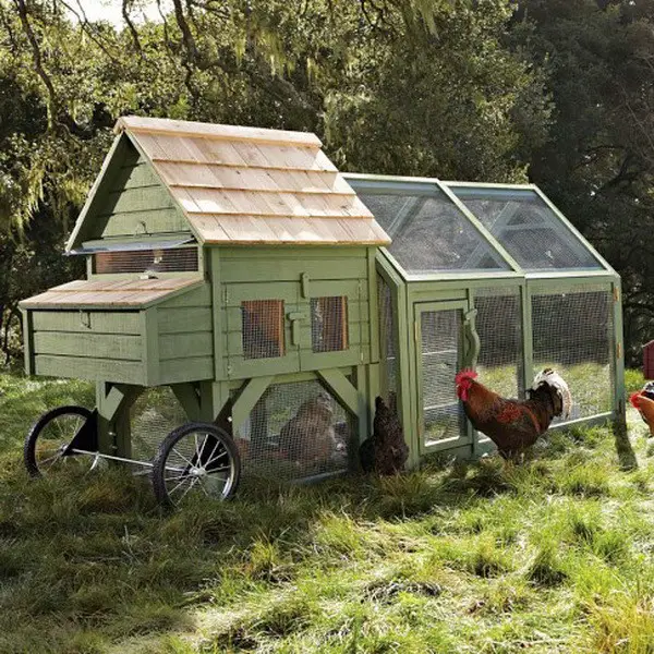 chicken coop house_67
