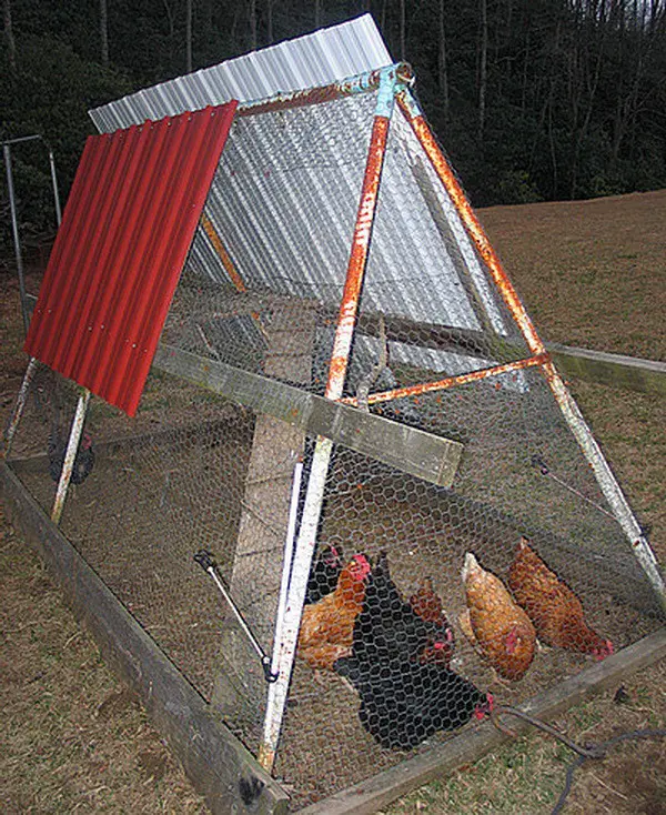 chicken coop house_76