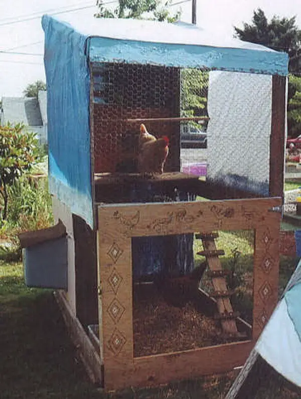 chicken coop house_77