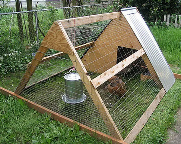 chicken coop house_82
