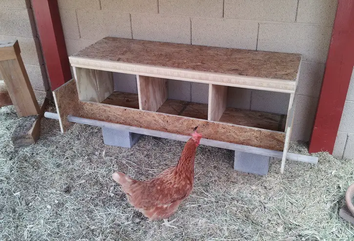 Chicken Roost And Nest Diy chicken nesting box_07