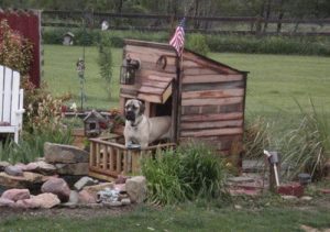 Creative Dog House Design Ideas_24 | RemoveandReplace.com