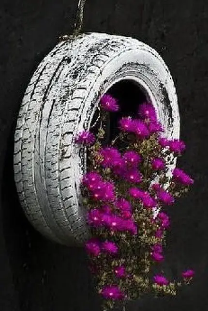 Old tire made into flower pot