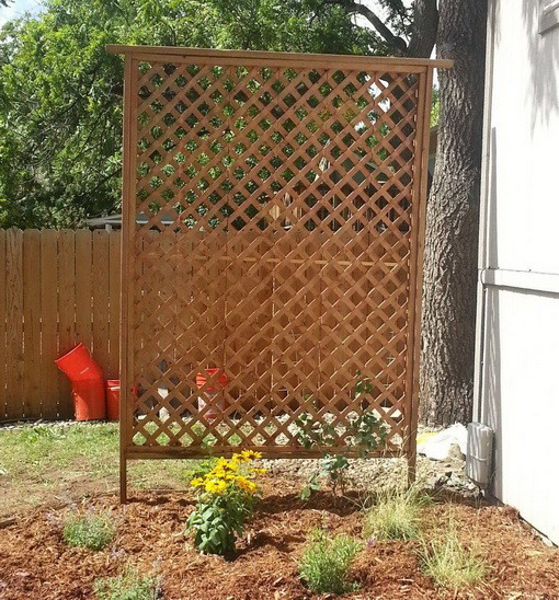 We then purchased wood chips and carefully sprinkled them in the area 