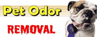 How do you remove pet odor?