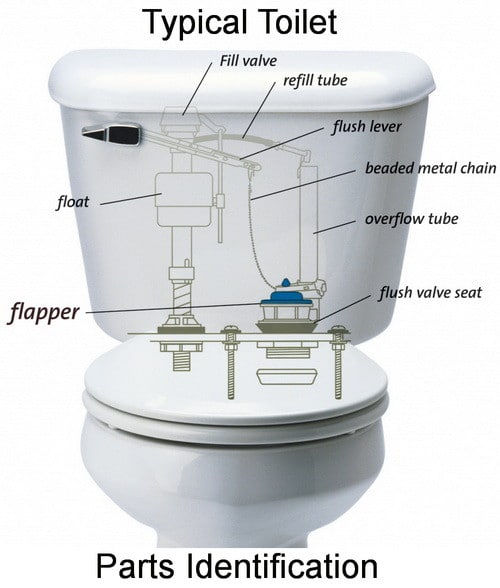 toiletdiagram_3