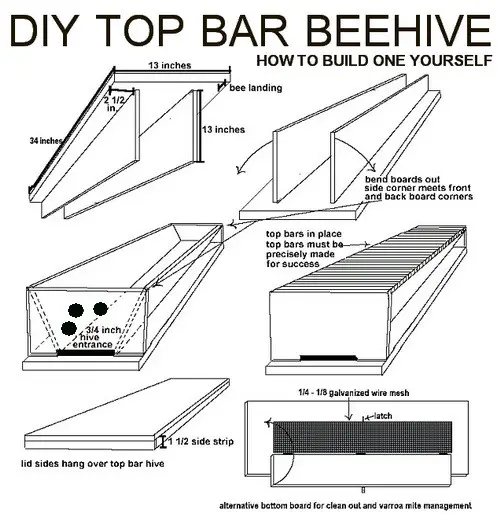  simple dimension and sizing guide to help you build your top bar hive