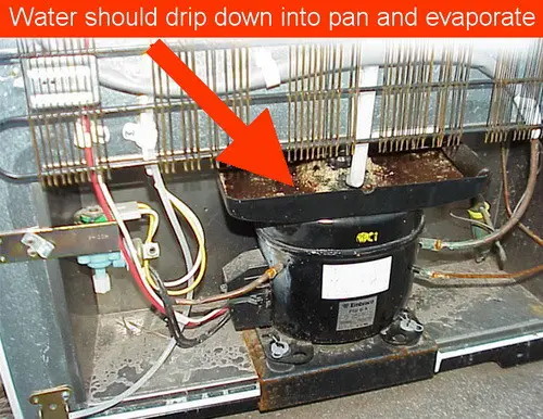 fridge drain pan
