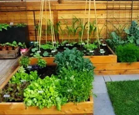 Garden Layout Ideas_12
