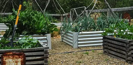Garden Layout Ideas_21