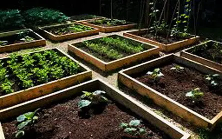 Garden Layout Ideas_27