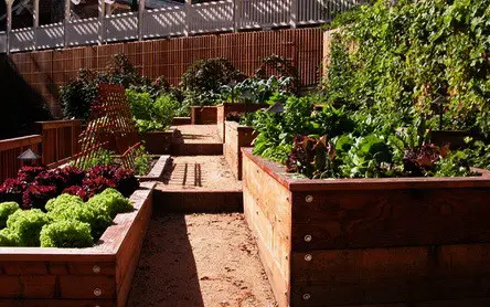 Garden Layout Ideas_28