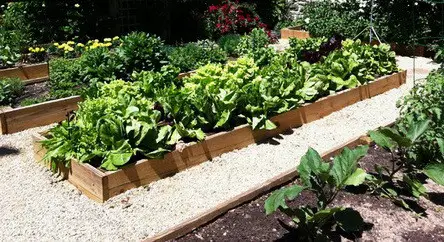 Garden Layout Ideas_29