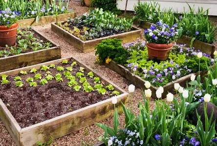 Garden Layout Ideas_34