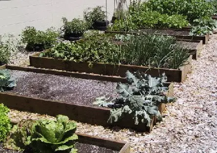 Garden Layout Ideas_39