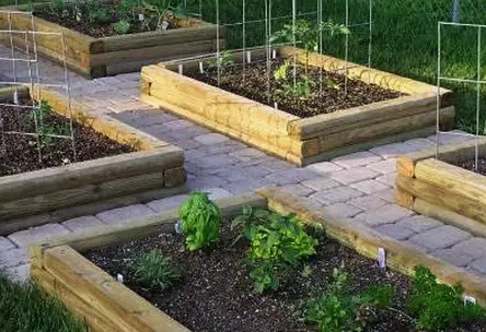 small vegetable garden design, garden, garden ideas