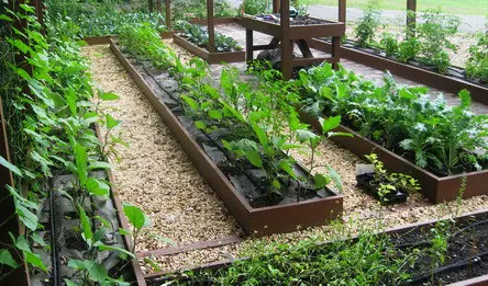 Garden Layout Ideas_55