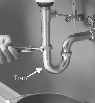 drain trap