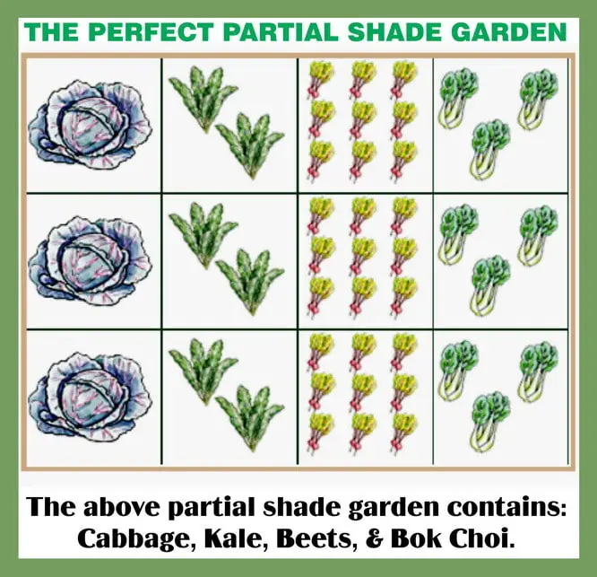 the perfect partial shade garden