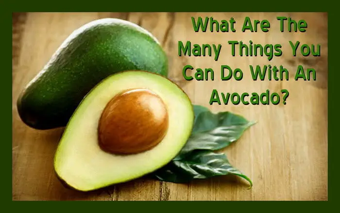 What Are The Many Things You Can Do With An Avocado