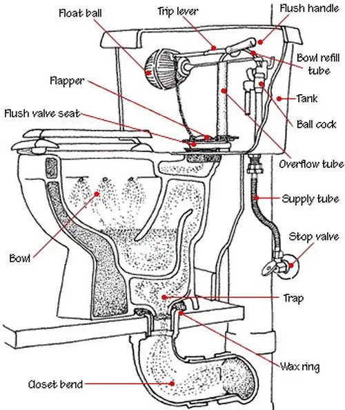 Toilet Is Not Clogged But Drains Slow And Does Not