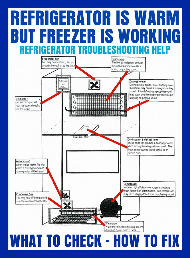 What causes frost to build up in a freezer?