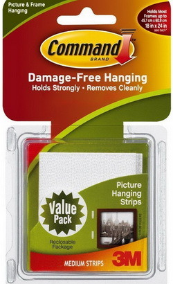 Picture hanging command strips