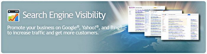 NicBuy.com SEO Services Search Engine Visibility