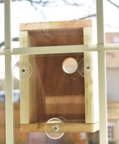 Build A Window Bird House