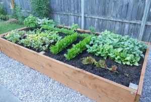 How To Build a Raised Garden Planter Bed - Gardening Project DIY