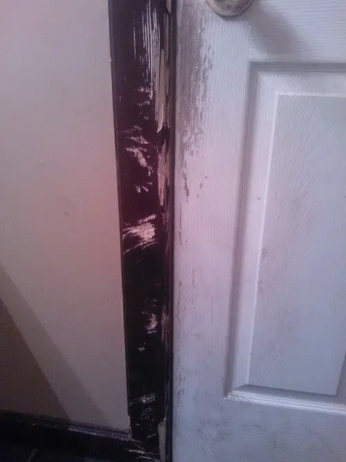 door damaged by dog