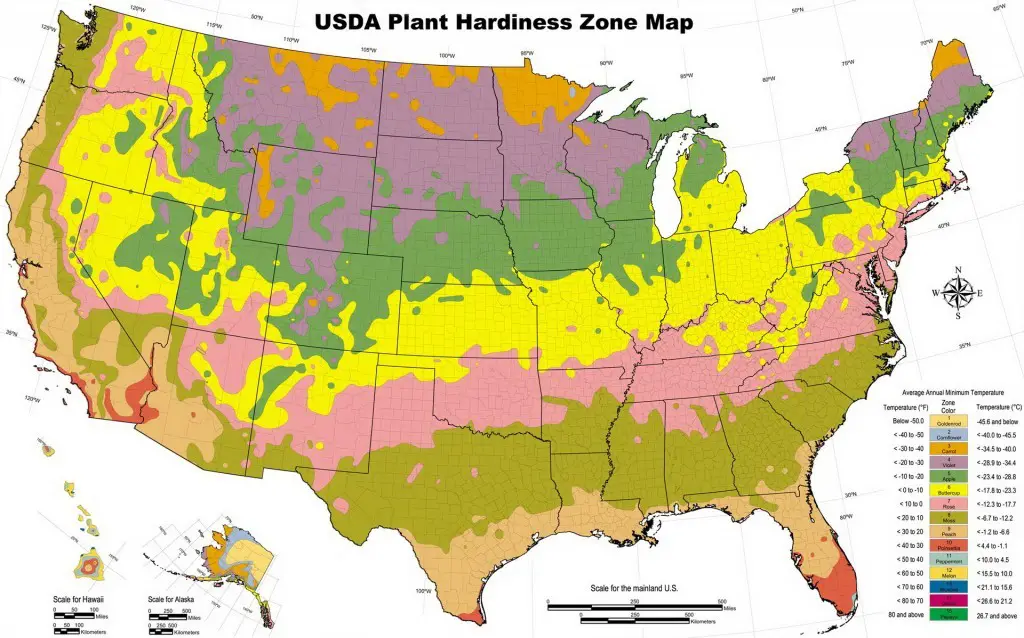 Us Hardiness Zone Map 2024 Usa gayle joanna