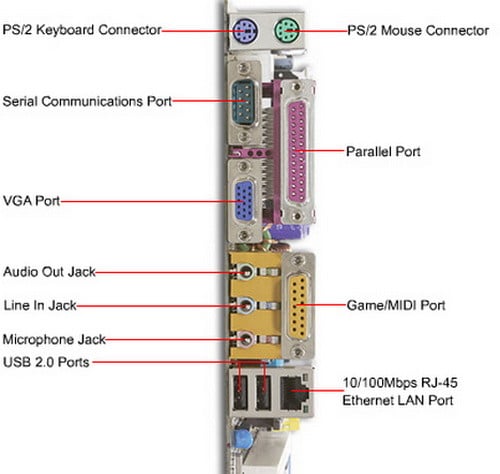 Mặt sau của Computer Port Identification Minh họa