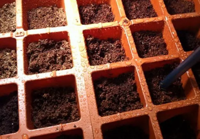 How To Start Seeds Before Planting In Your Garden With A Seed Starter Kit