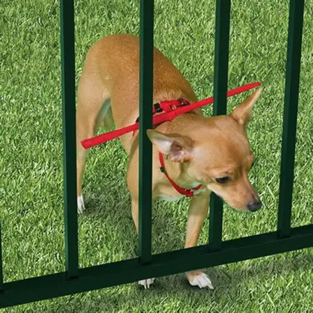 Escape Preventing Dog Harness