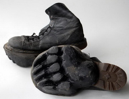 Animal Footprint Shoes