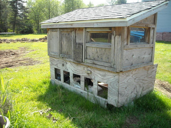 chicken coop house_11