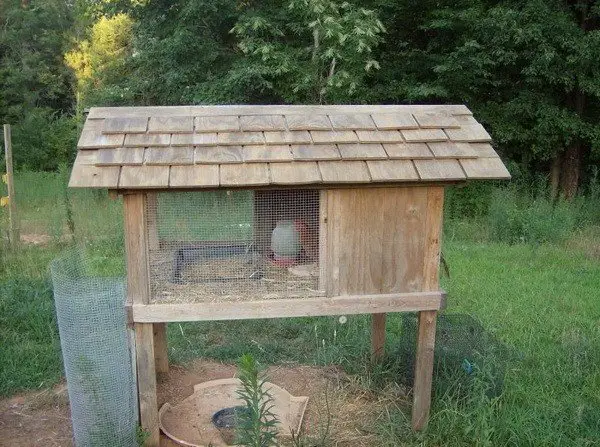 chicken coop house_14