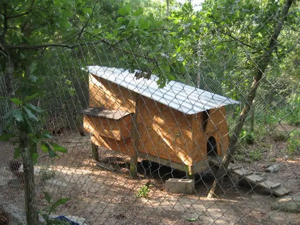 chicken coop house_16