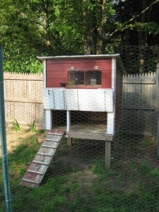 Chicken Coop Ideas - Designs And Layouts For Your Backyard Chickens