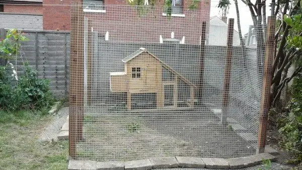 chicken coop house_20
